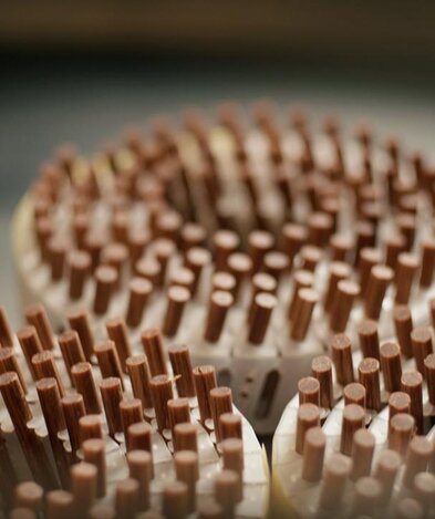 Lignoloc Holznägel Coil