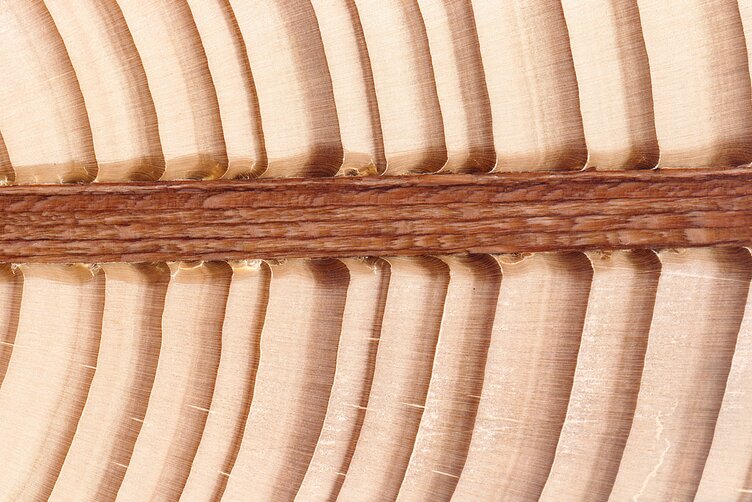 Lignoloc wooden welding