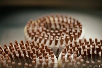 Lignoloc wooden nails coil