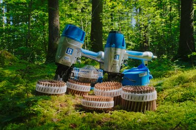 LIGNOLOC® Systeme im Wald Photo of LIGNOLOC® systems in a forest