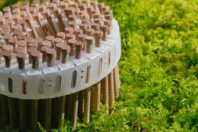 LIGNOLOC® Coil im Wald | © Photo of LIGNOLOC® Coil in a forest Foto vom LIGNOLOC® Coil im Wald | © Photo of LIGNOLOC® Coil in a forest