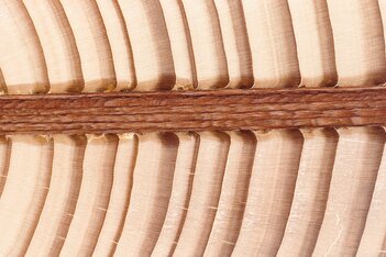 LIGNOLOC® Holznägel: Der Holzschweisseffekt
