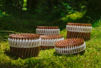 LIGNOLOC coils in the forest
