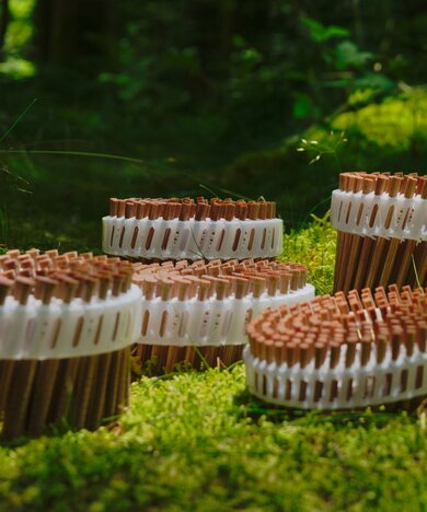 LIGNOLOC Coils im Wald