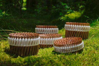 LIGNOLOC Coils im Wald