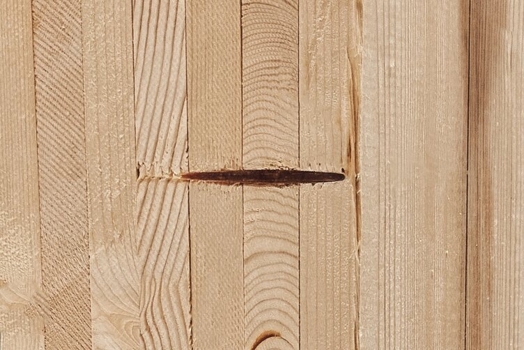 A solid wood wall with a driven-in LIGNOLOC® Wooden Nail from BECK: The nail bonds with the supporting wood through lignin adhesion.