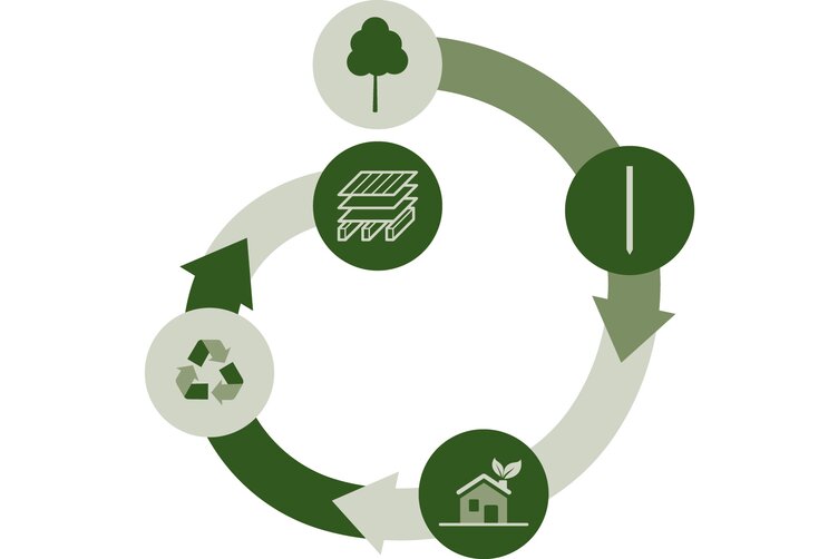 Infographic of the sustainable circular economy for LIGNOLOC® wooden nails
