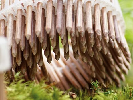 Lignoloc Holznägel Coil Waldboden