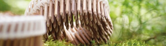 Lignoloc Holznägel Coil Waldboden