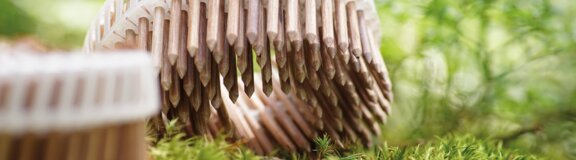 Lignoloc wooden nails coil forest floor