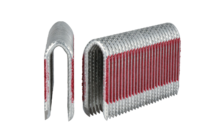 Staple BECK FENCE 4.0