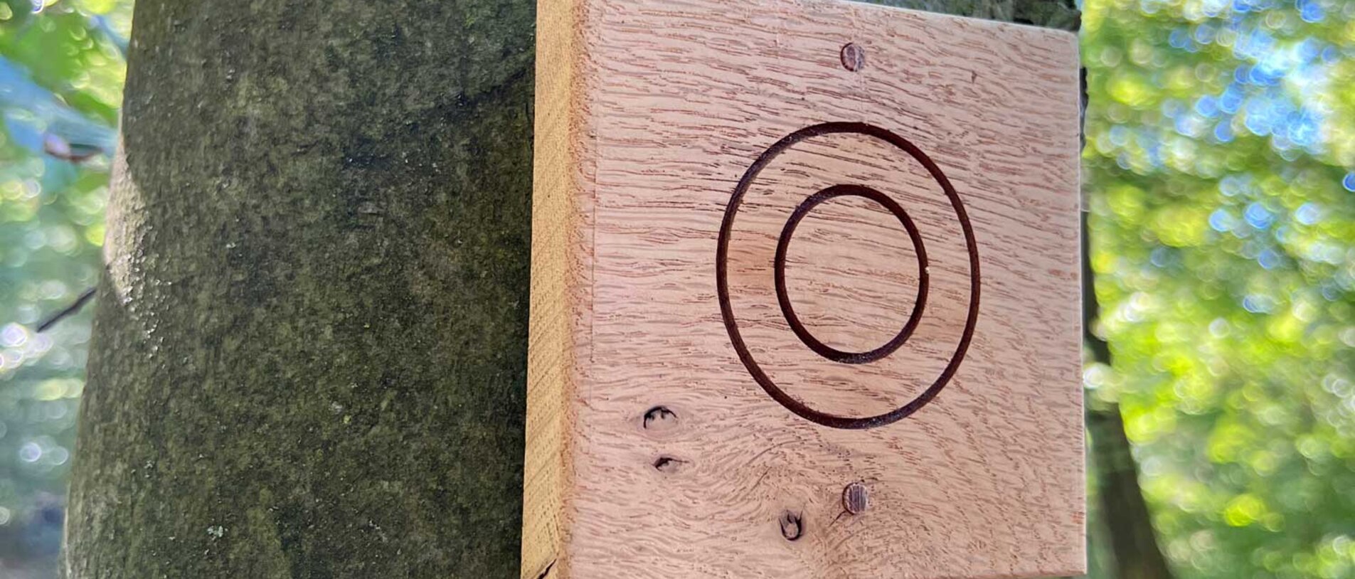 Wooden trail signs with directional arrows, sustainably attached using LIGNOLOC® wooden nails by BECK