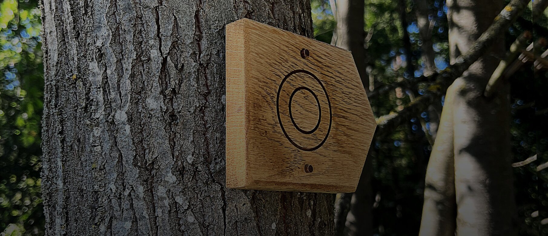 Close-up of a sustainable oak trail sign in Schönbuch Nature Park fastened with LIGNOLOC® wooden nails by BECK