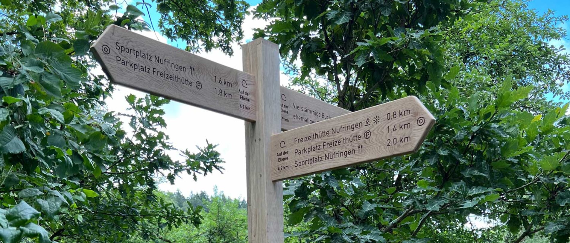 Close-up of a wooden trail sign attached to a tree trunk using two visible LIGNOLOC® wooden nails by BECK