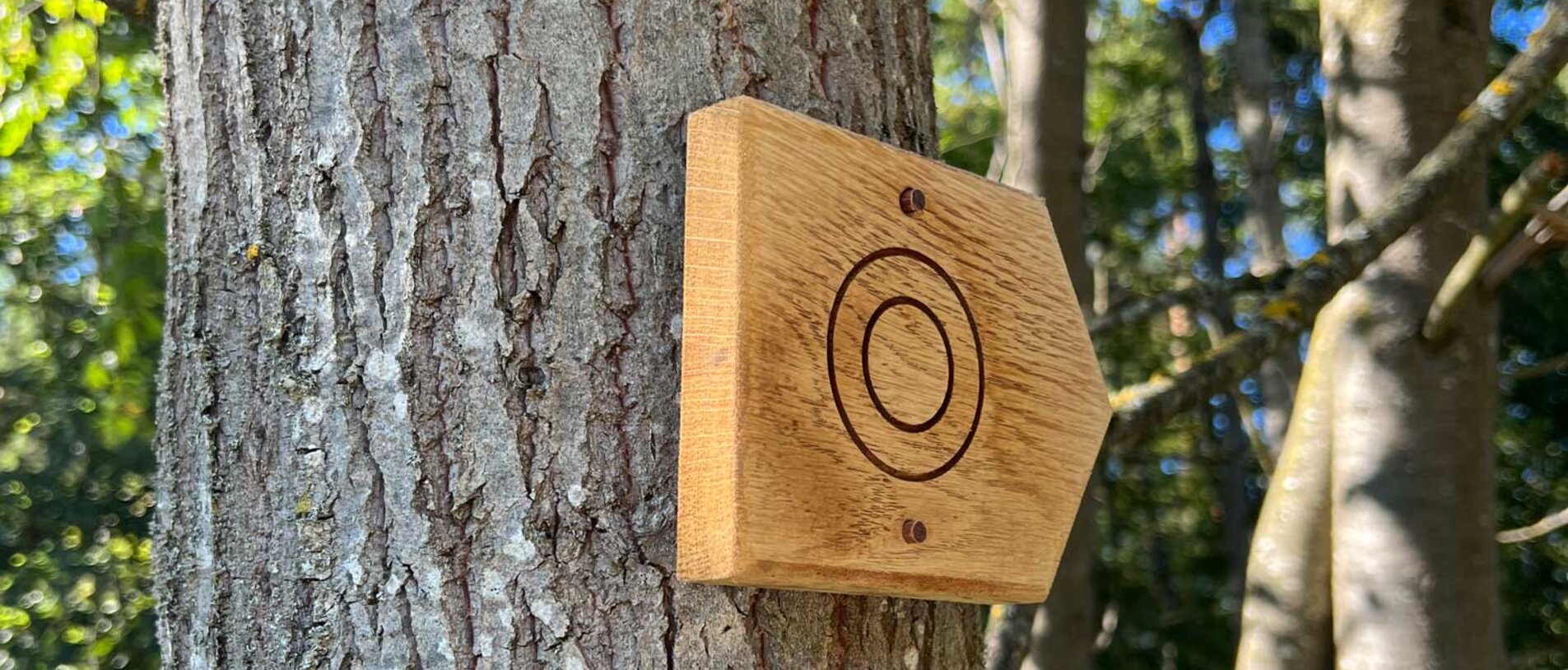 Wooden trail sign made of oak, sustainably attached to a tree using LIGNOLOC® wooden nails by BECK